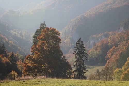 autumn  autumn landscape  nature