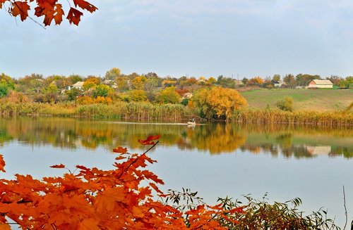 autumn  ukraine  nature