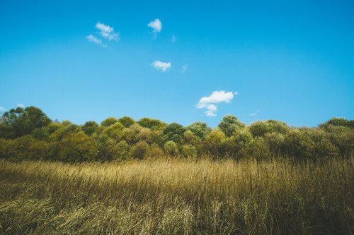 autumn  natural  minimalist