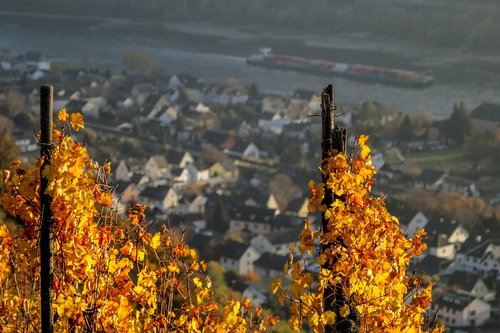 autumn  nature  landscape