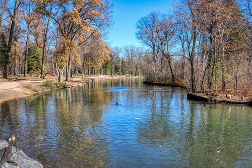 autumn  pond  trees