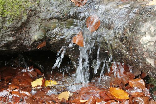 autumn water stone