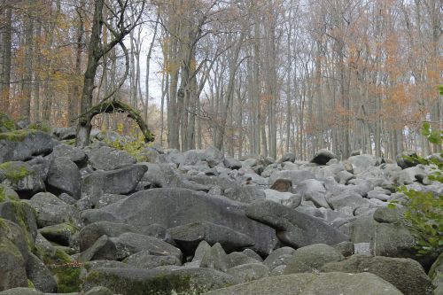 autumn stones rock