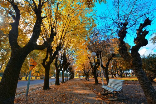 autumn  plaza  colors