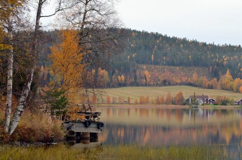 autumn mirroring water