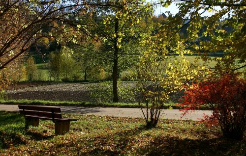 autumn autumn mood trees