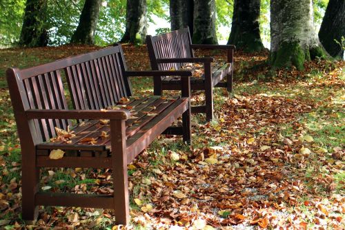 autumn bench seat