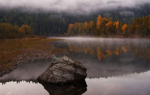 autumn lake trees