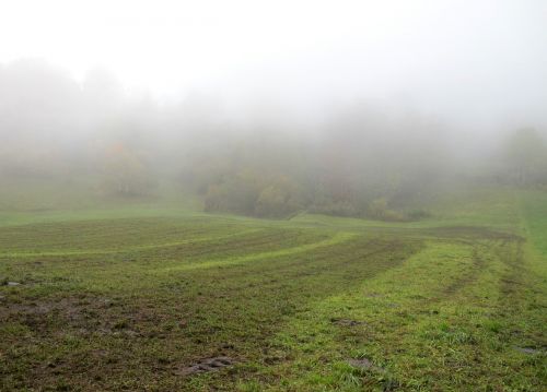 autumn fog arable