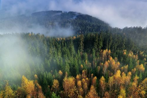 autumn mountains the fog