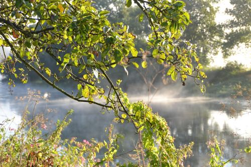 autumn fog landscape