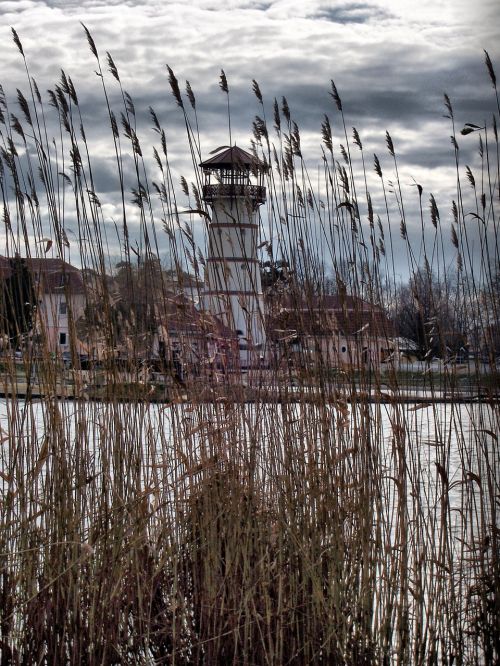 autumn water tower reed