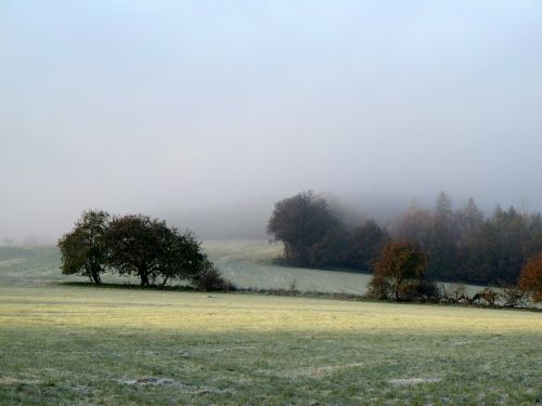 autumn cold green