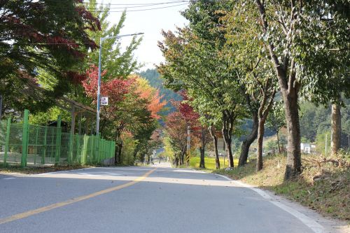 autumn street country