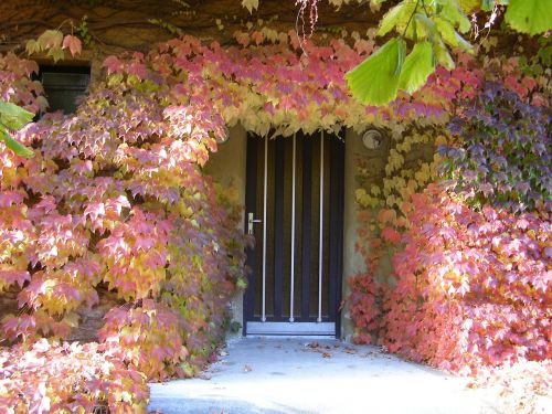 autumn door frame golden autumn