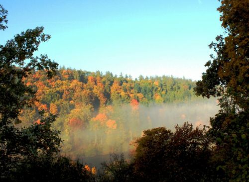 autumn fog landscape