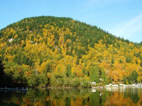 autumn lake nature