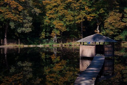 autumn pond nature