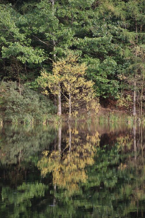 autumn mirror image lake
