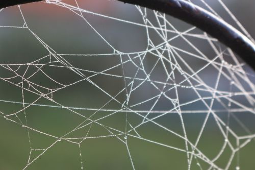 autumn cobweb metal