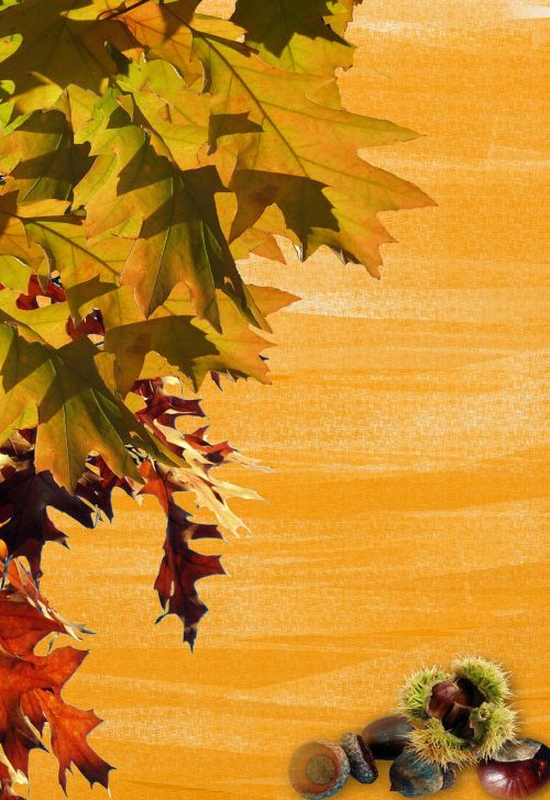 autumn leaves stationery
