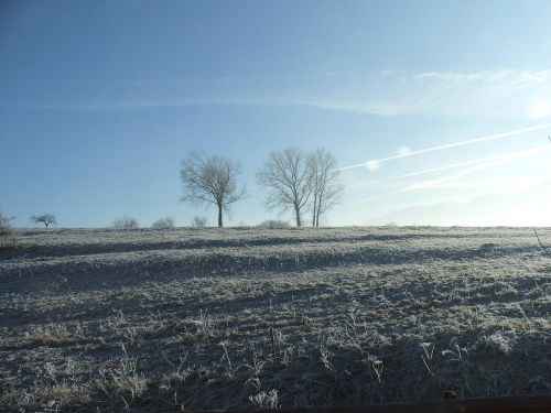 autumn nature frost