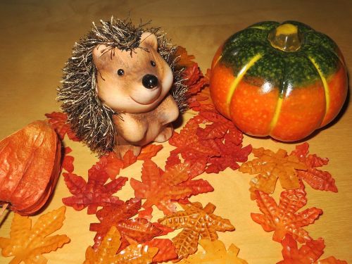 autumn hedgehog pumpkin