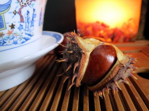 autumn chestnut candle