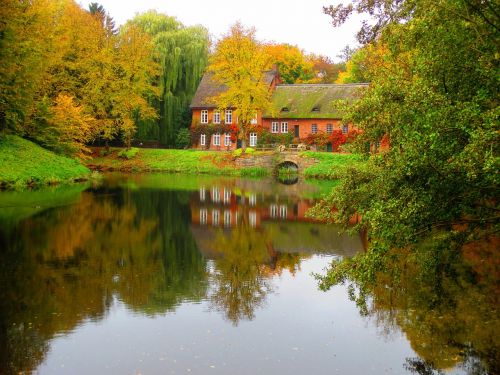 autumn pond park