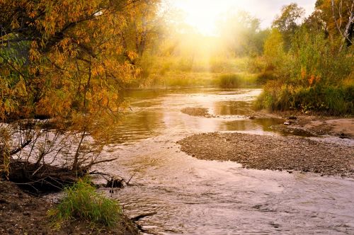 Autumn Background