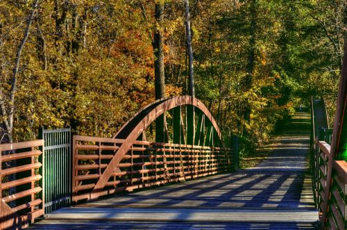 Autumn Bridge