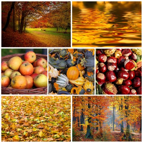 Autumn Colors Wallpaper