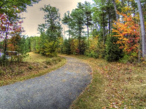 Autumn Country Road