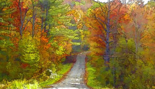 Autumn Country Road