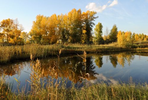 Autumn Day