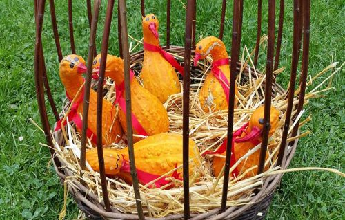 autumn decoration geese pumpkins