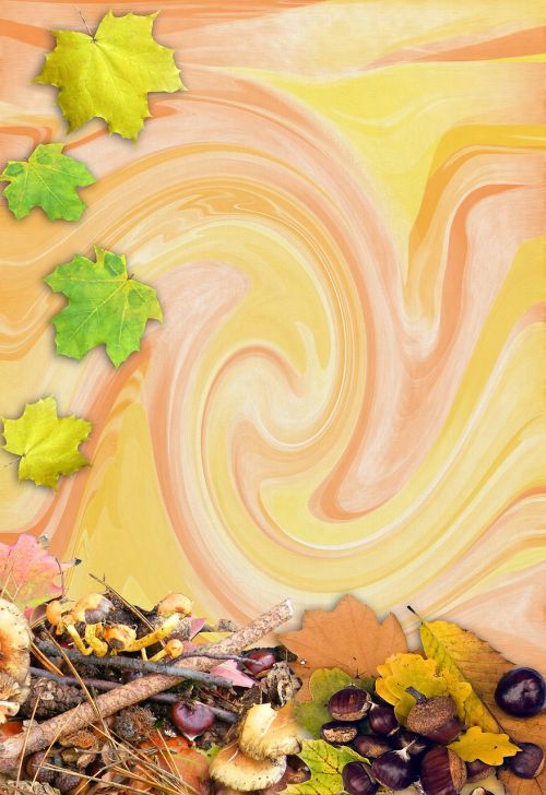 autumn forest stationery background