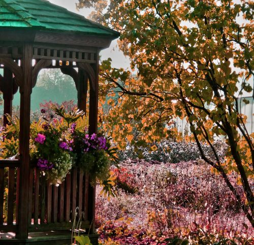 Autumn Gazebo