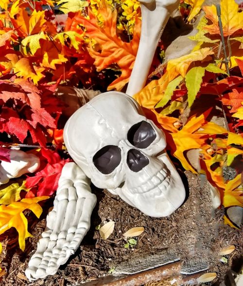 Autumn Halloween Skull