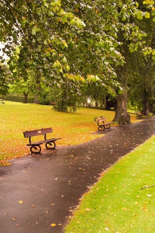 Autumn In Park