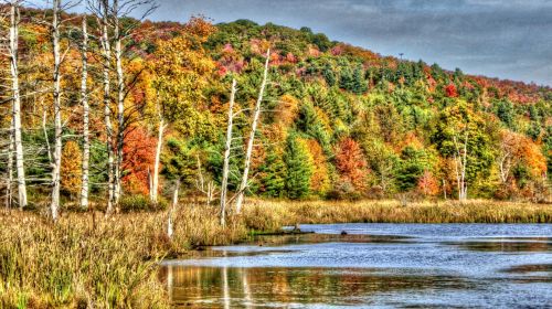 Autumn Lake Landscape