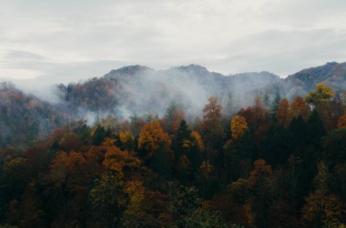 autumn landscape cloudy landscape