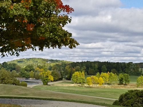 Autumn Landscape