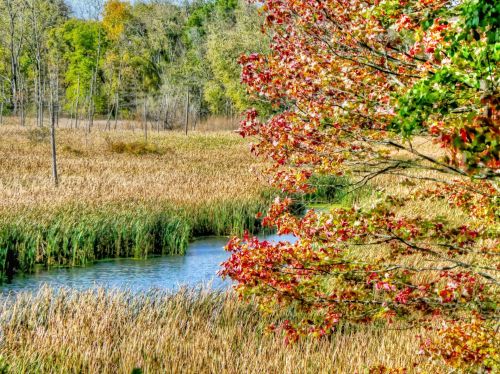 Autumn Landscape