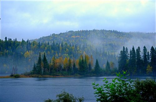 autumn landscape mist fall