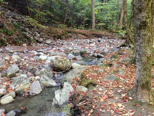 autumn landscape rocks creek
