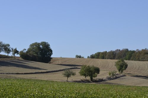 autumn landscape  hilly  field