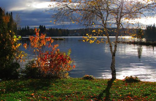 autumn landscape lake water