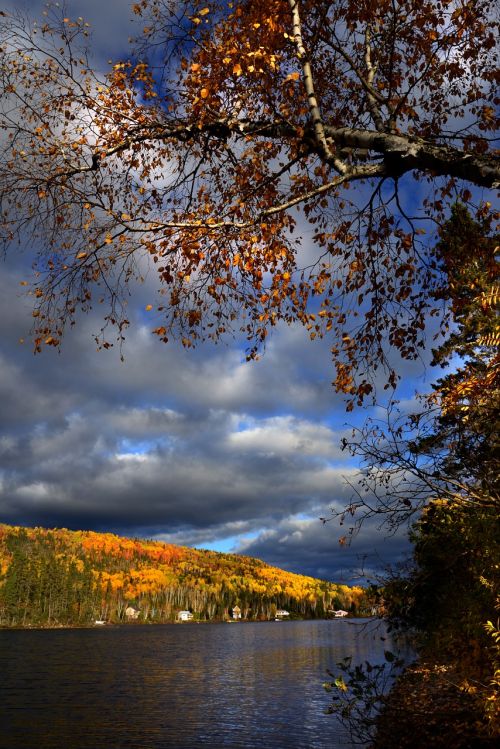 autumn landscape lake nature