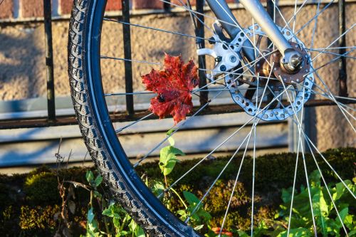 autumn leaf wheel bike